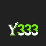 Y333 Game